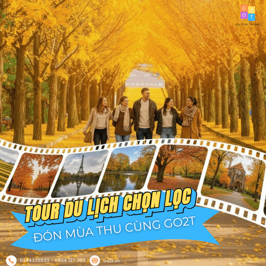 THU VỀ NHỮNG KỶ NIỆM ĐẸP MÙA THU VỚI CÁC TOUR DU LỊCH CHỌN LỌC CÙNG GO2T